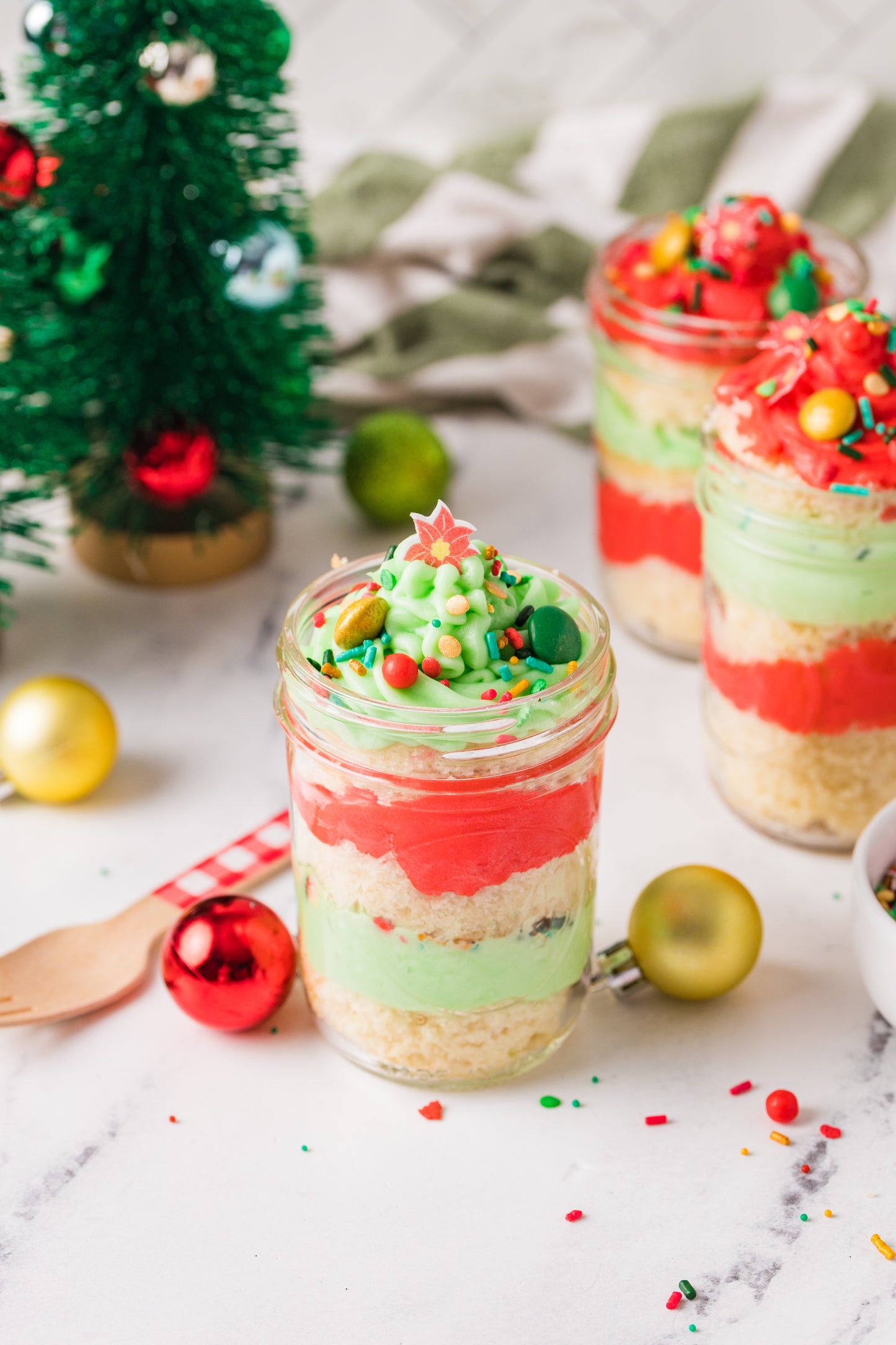 Christmas Cake in a Jar -Semi Exclusive