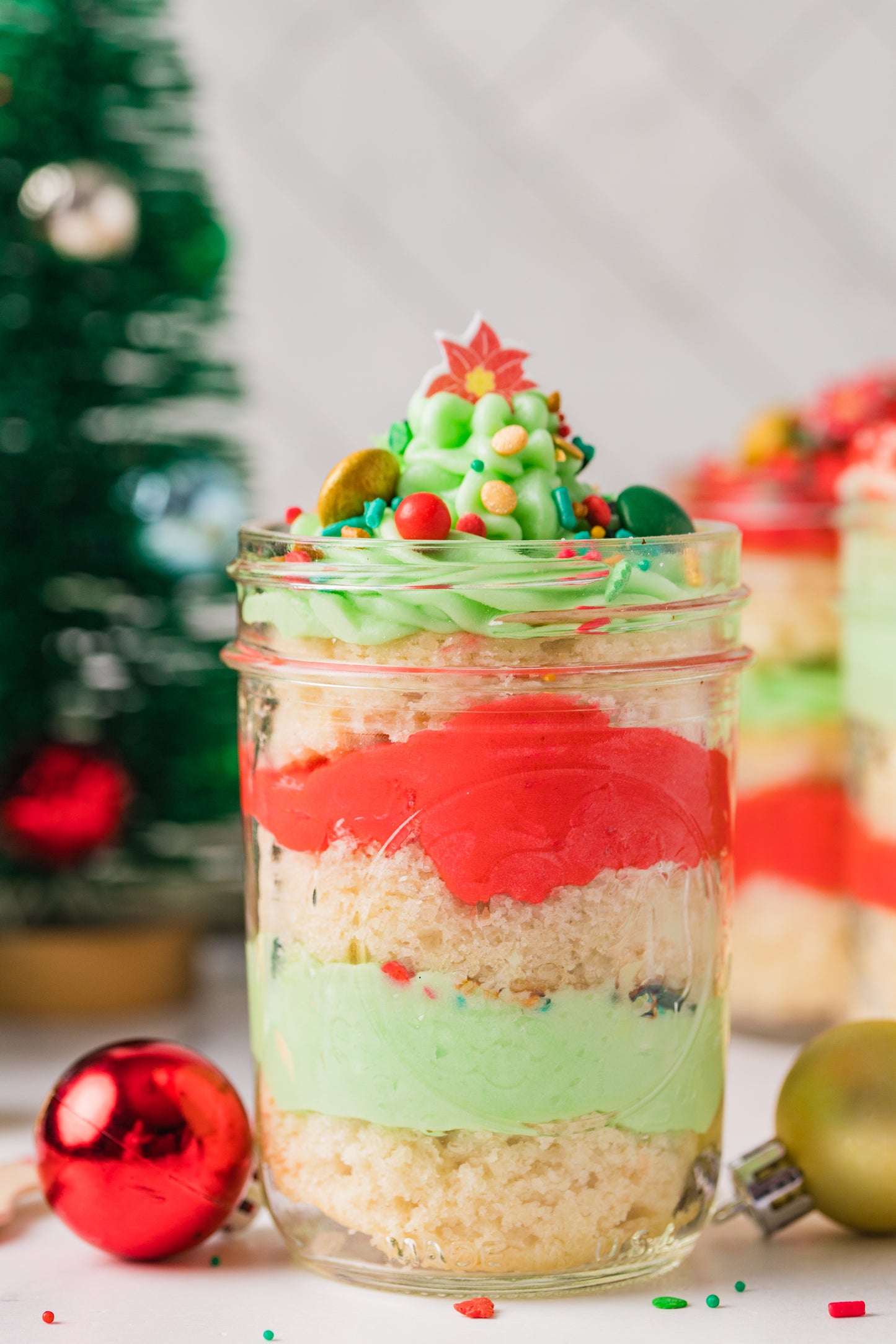 Christmas Cake in a Jar -Semi Exclusive