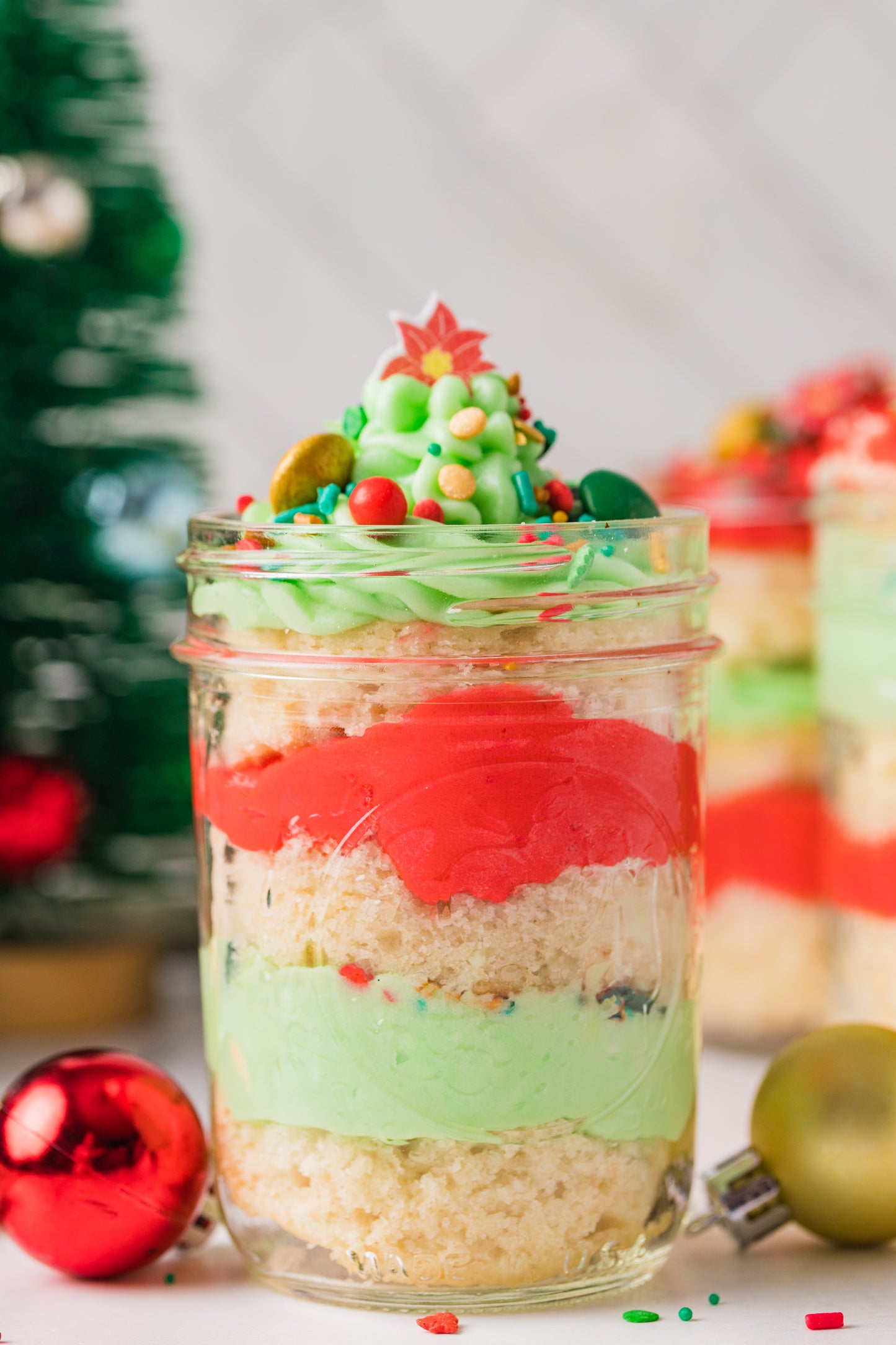 Christmas Cake in a Jar -Semi Exclusive