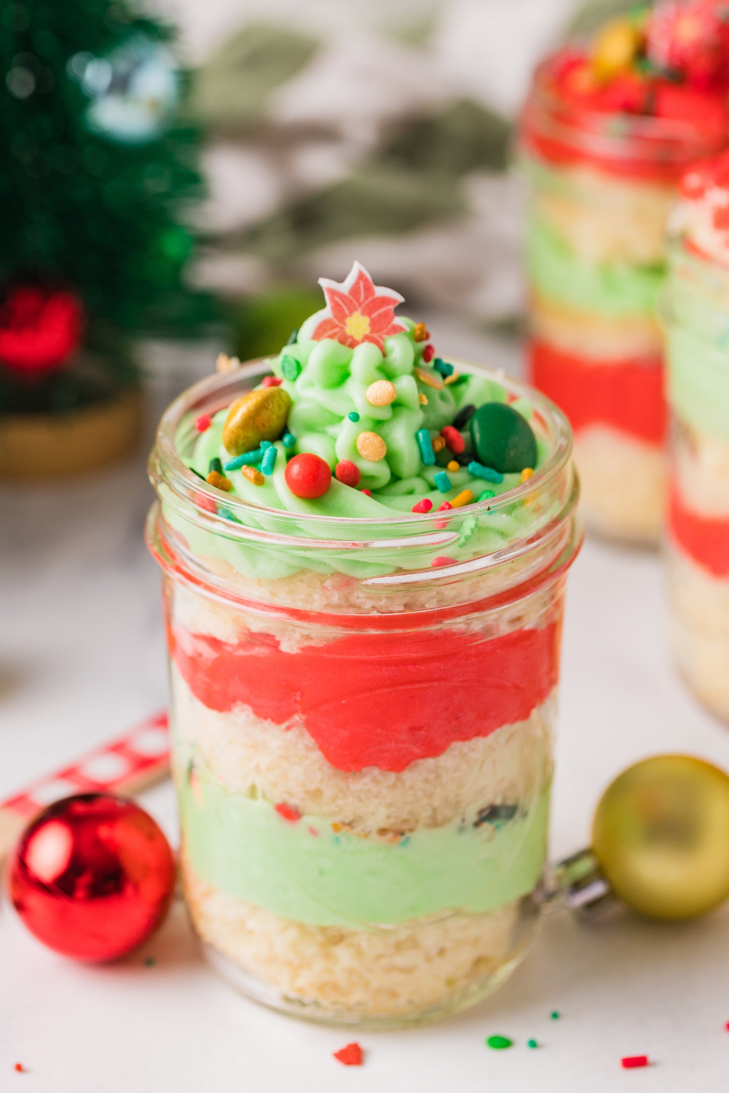 Christmas Cake in a Jar -Semi Exclusive