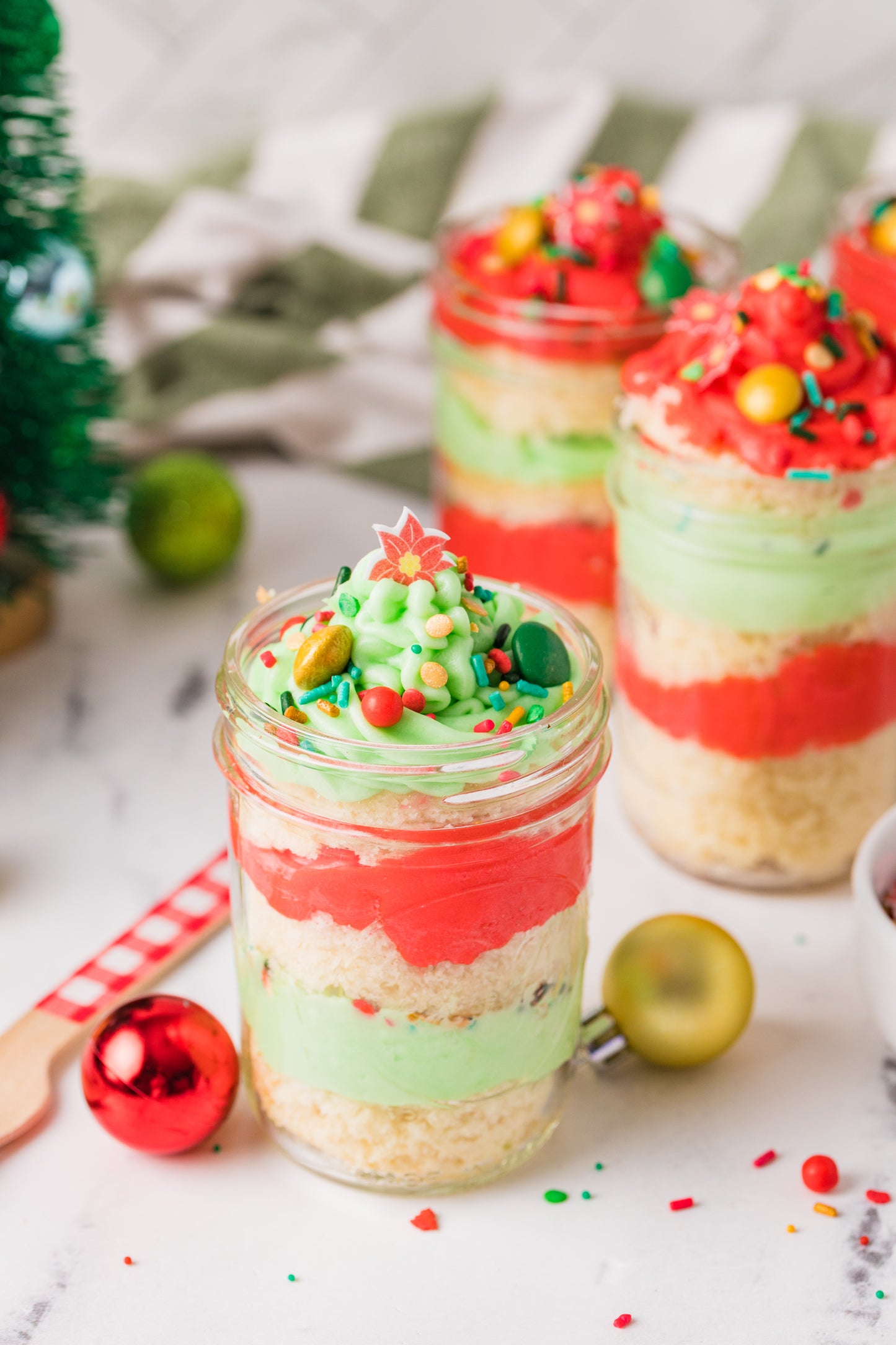 Christmas Cake in a Jar -Semi Exclusive