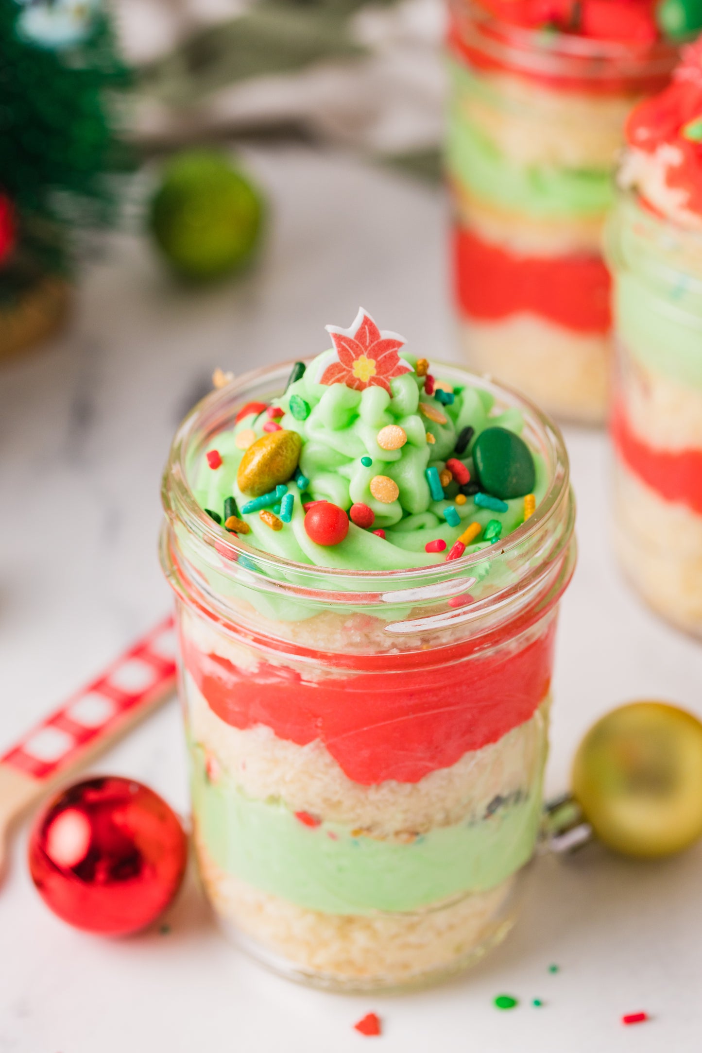Christmas Cake in a Jar -Semi Exclusive