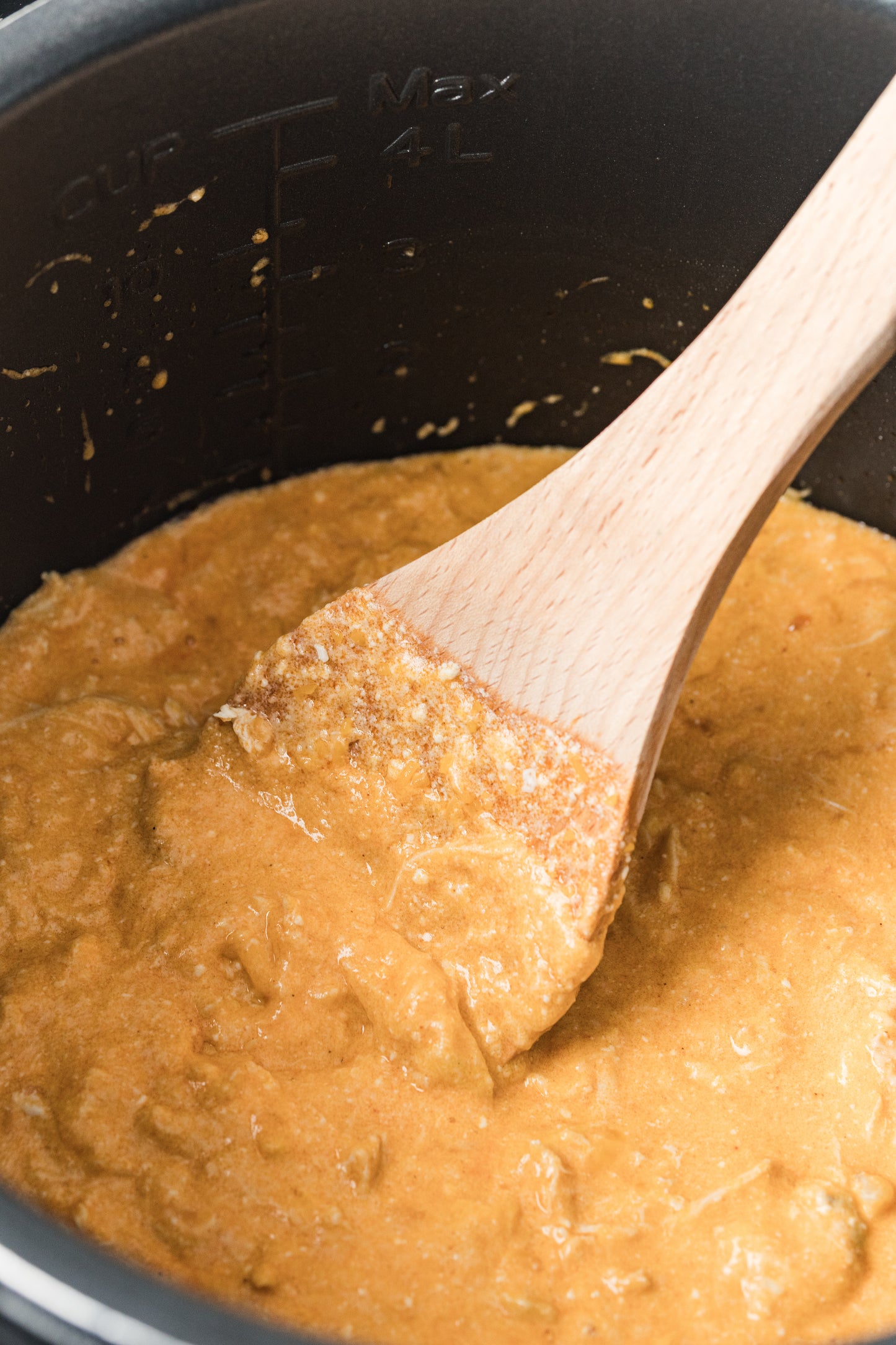 Instant Pot Buffalo Chicken Dip-Exclusive