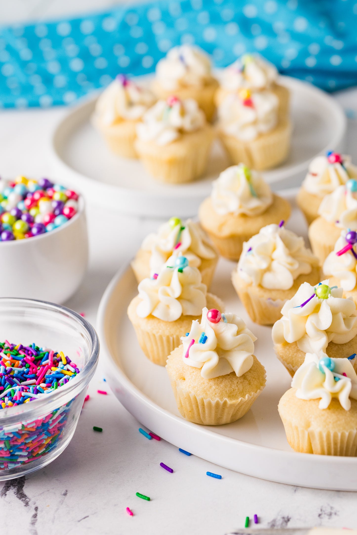 Mini Vanilla Cupcakes-Exclusive