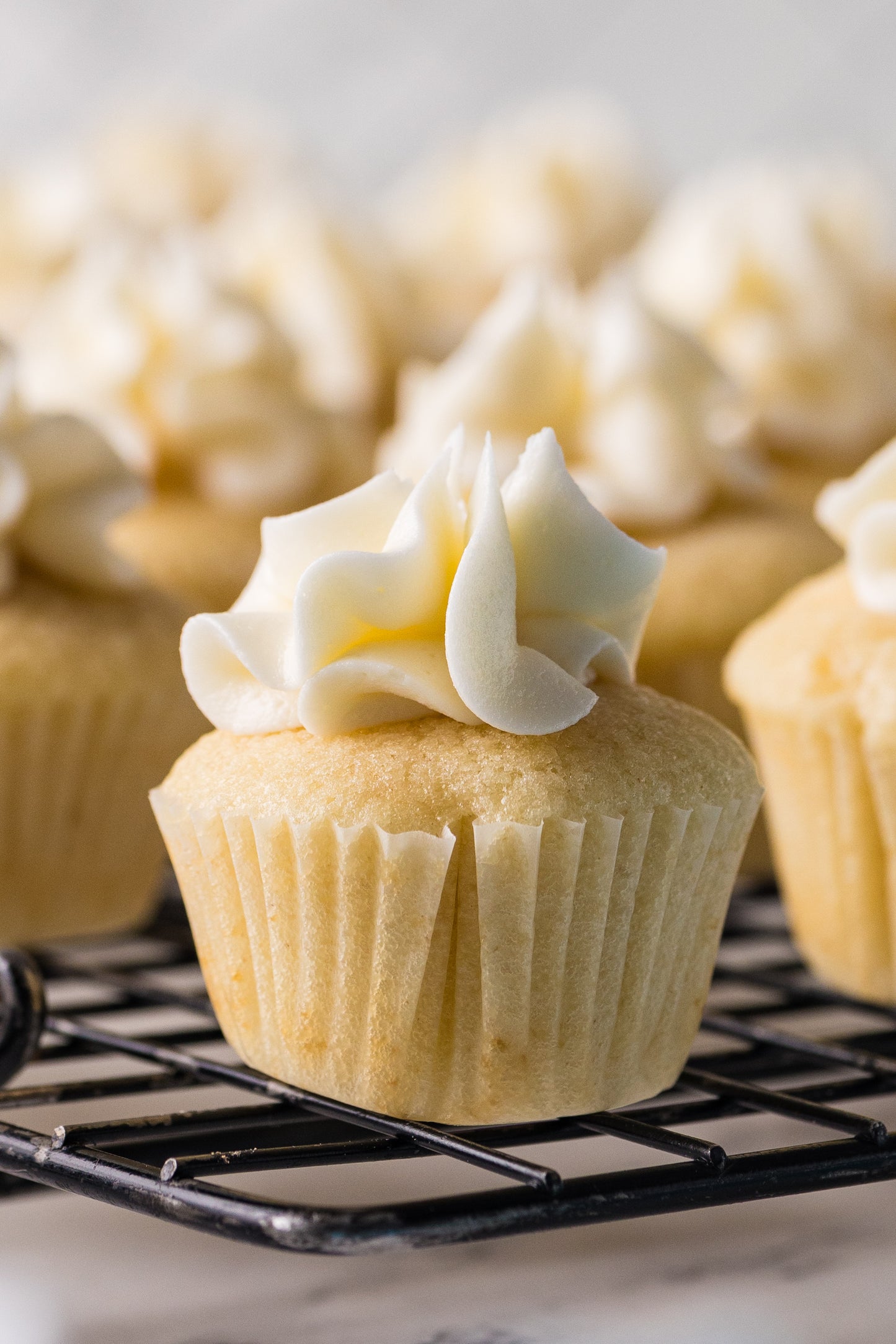 Mini Vanilla Cupcakes-Exclusive
