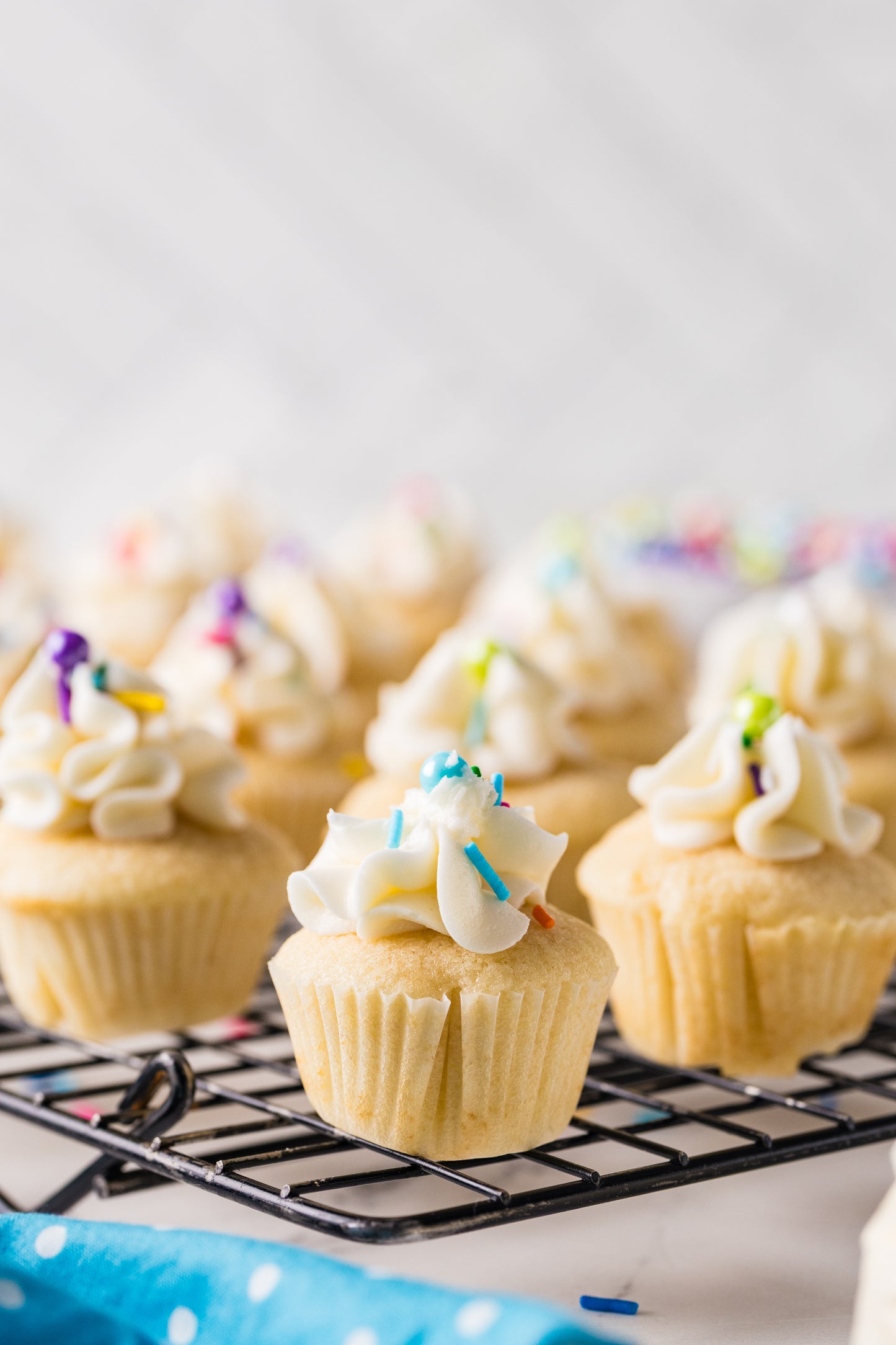 Mini Vanilla Cupcakes-Exclusive