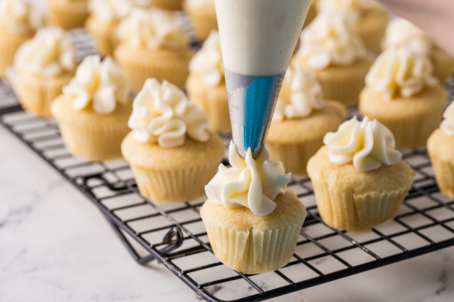 Mini Vanilla Cupcakes-Exclusive