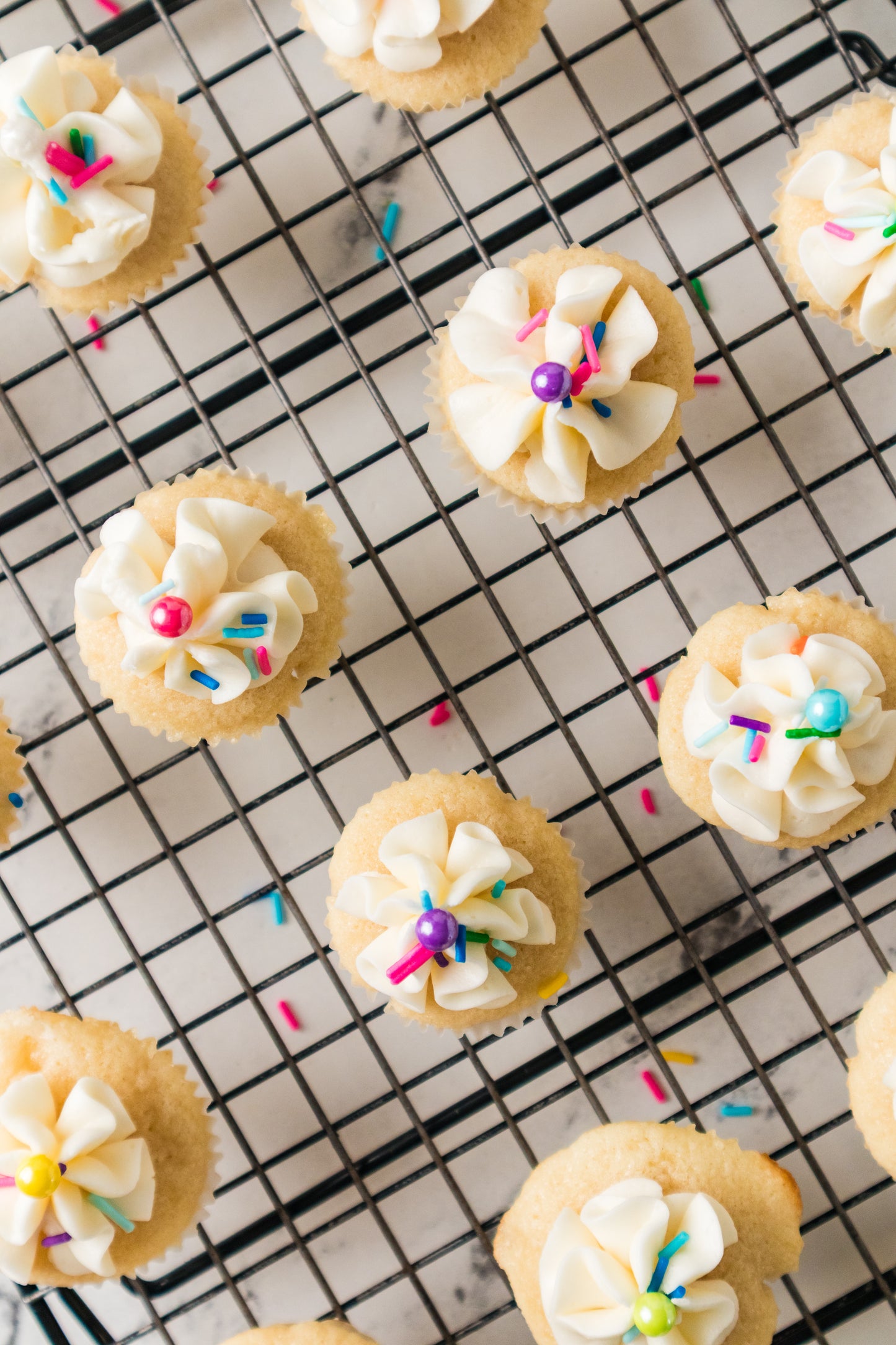 Mini Vanilla Cupcakes-Exclusive